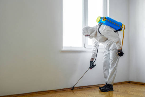 Professional Pest control in North Madison, OH